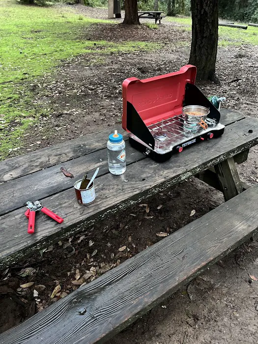 Tan Oak Campground, Mt Madonna County Park Picture 10