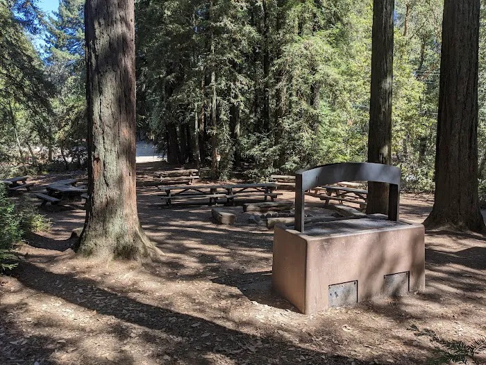 Manzanita Group Campsite Picture 6