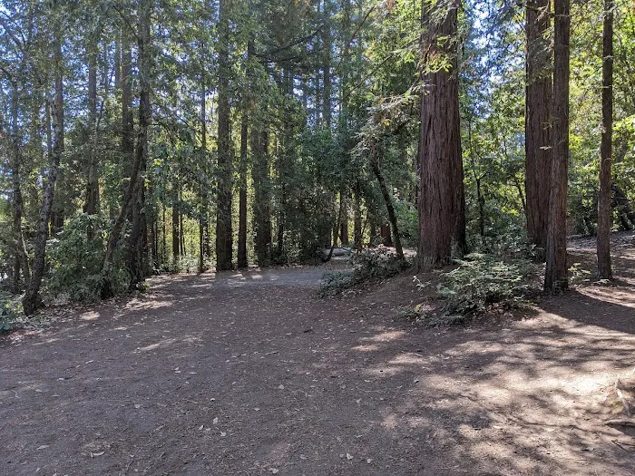 Manzanita Group Campsite Picture 7