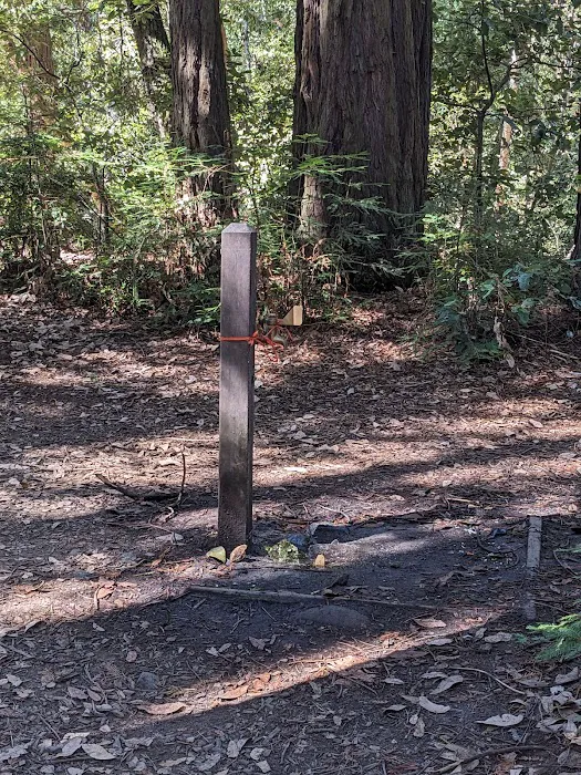 Manzanita Group Campsite Picture 8