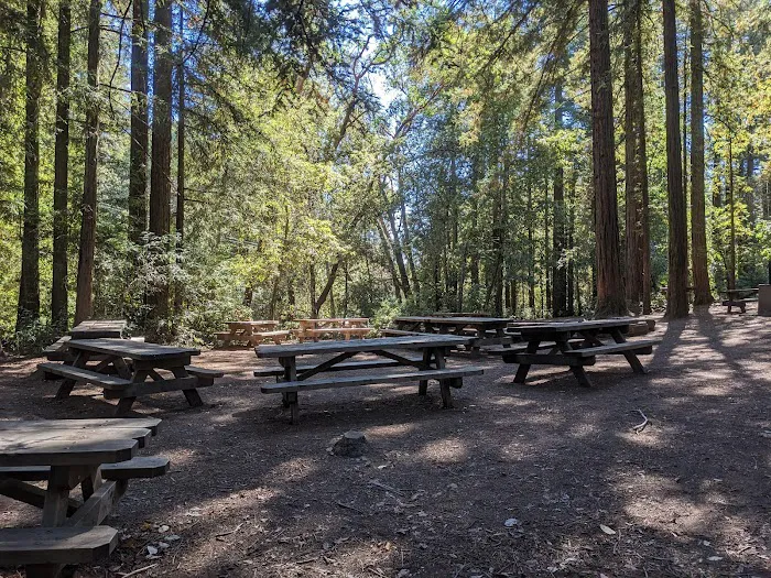 Manzanita Group Campsite Picture 9