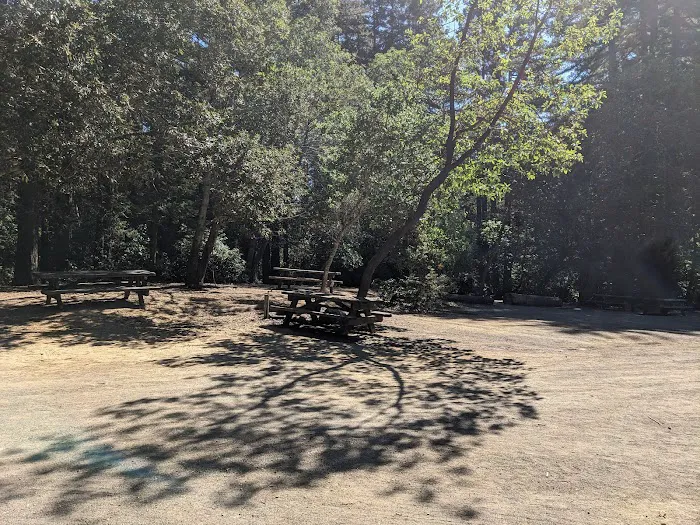 Manzanita Group Campsite Picture 10