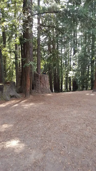West Deer Pen Group Camp Ground Picture 1
