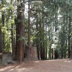 West Deer Pen Group Camp Ground