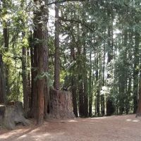 West Deer Pen Group Camp Ground ico