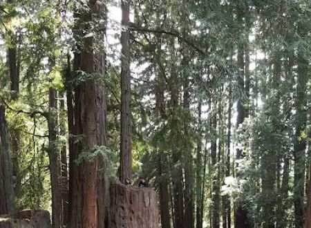 West Deer Pen Group Camp Ground