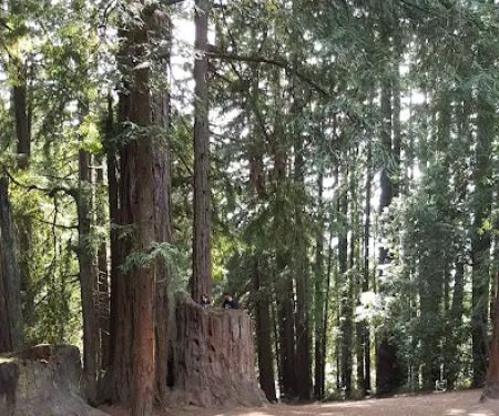 West Deer Pen Group Camp Ground