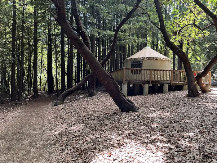 Valley View 1 Campground Picture 2