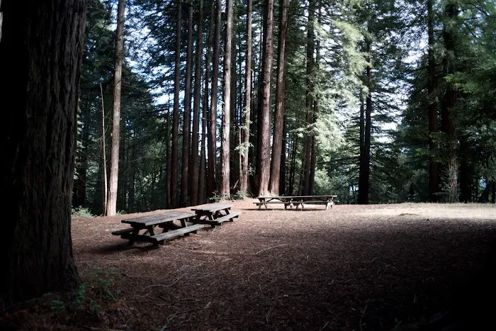 Arrowhead Group Campsite Picture 1