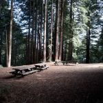 Arrowhead Group Campsite