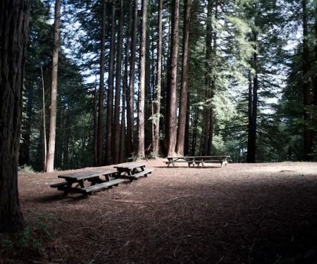 Arrowhead Group Campsite