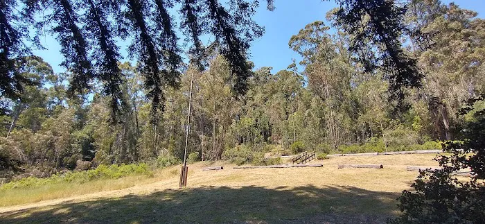 Arrowhead Group Campsite Picture 3