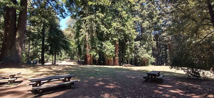 Arrowhead Group Campsite Picture 2