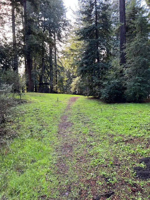 Arrowhead Group Campsite Picture 4