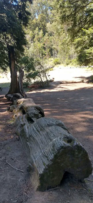 Arrowhead Group Campsite Picture 6