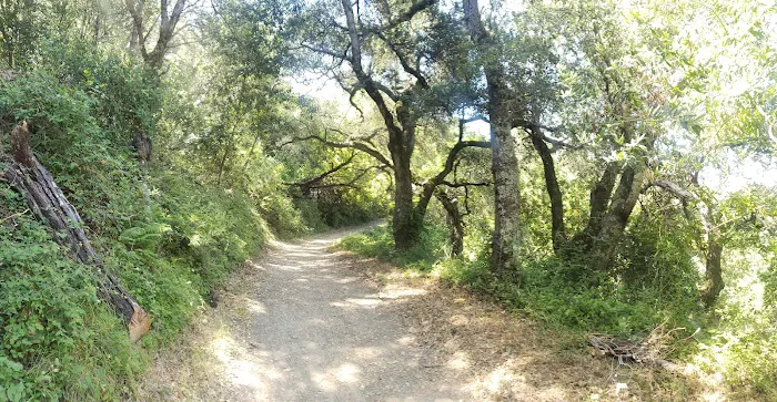 Arrowhead Group Campsite Picture 9