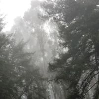 Indian Rock Group Camp ico