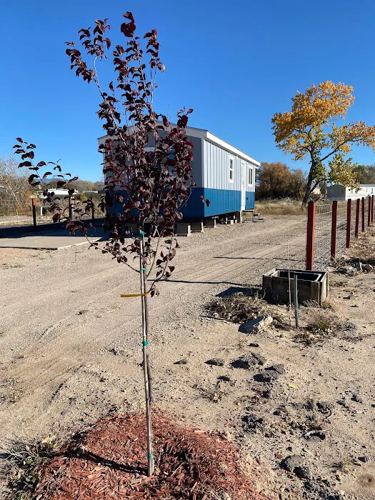 River Edge Tiny Home Village Picture 2