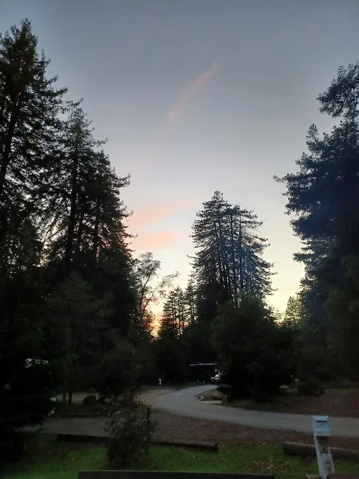 Huckleberry Group Camping Site Picture 5