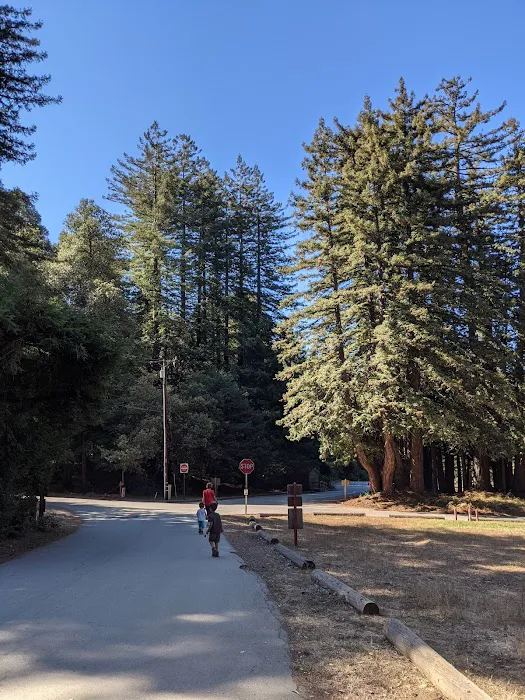 Huckleberry Group Camping Site Picture 7