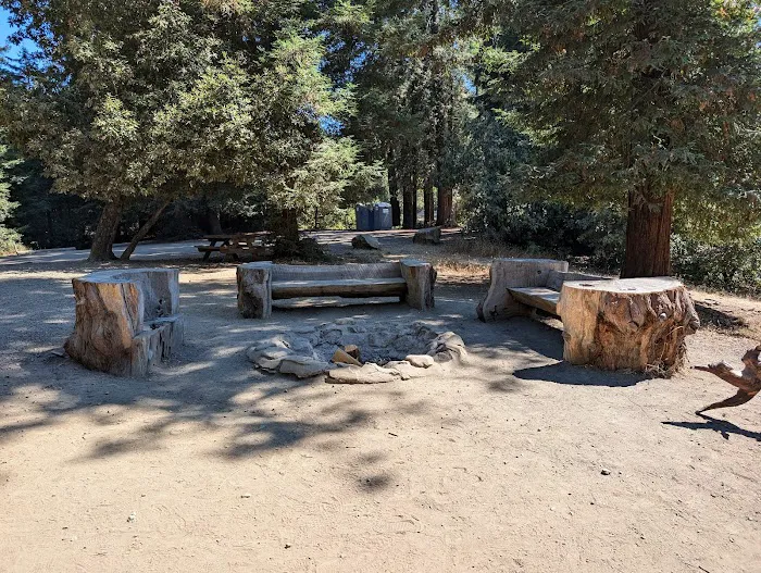 Huckleberry Group Camping Site Picture 8
