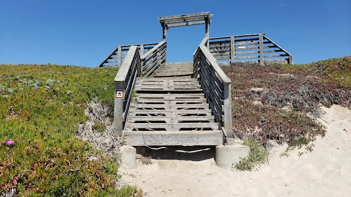 Francis Beach Campground Picture 2