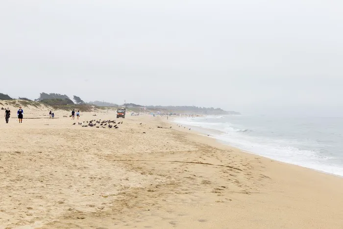 Francis Beach Campground Picture 1