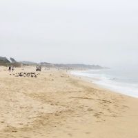 Francis Beach Campground ico