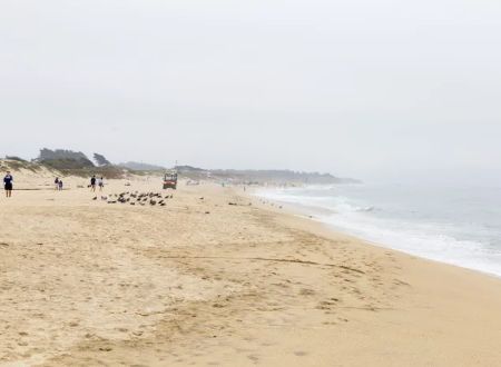 Francis Beach Campground