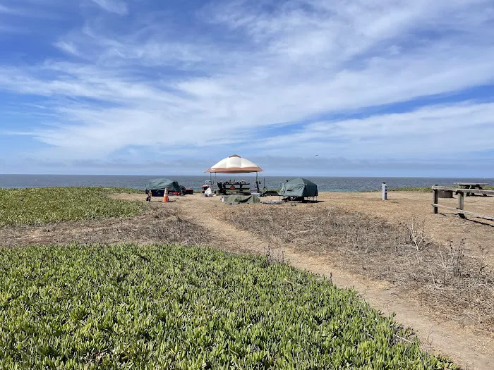Francis Beach Campground Picture 8