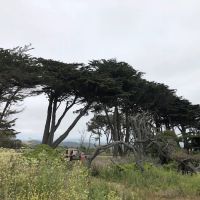 Sweetwood Camp ico