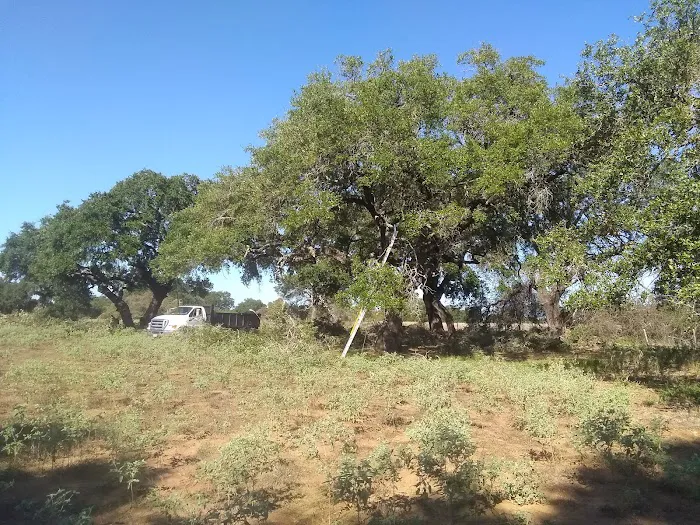 Country View RV Park Picture 6