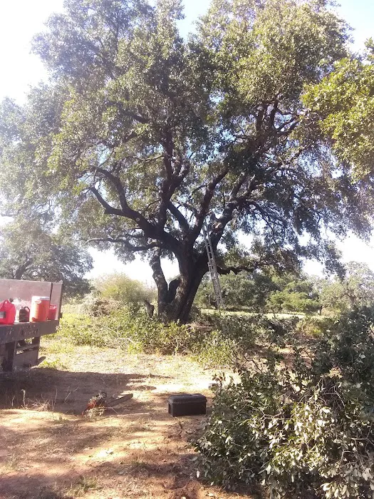 Country View RV Park Picture 10