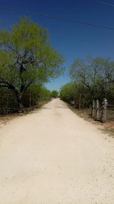 Freedom RV Resort Picture 10