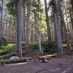 Upper Duckabush