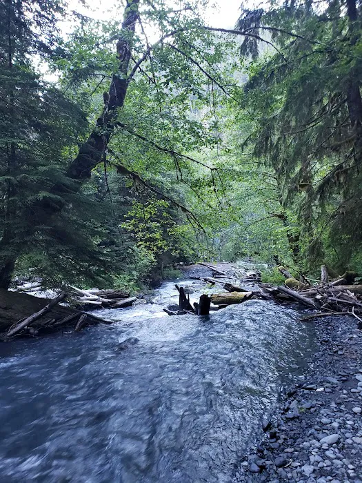 Nine Stream Picture 2