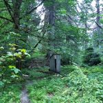 Nine Stream