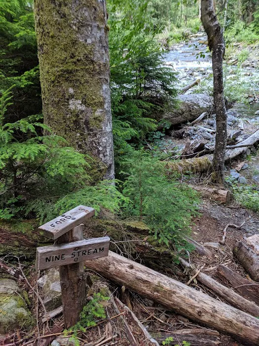 Nine Stream Picture 6