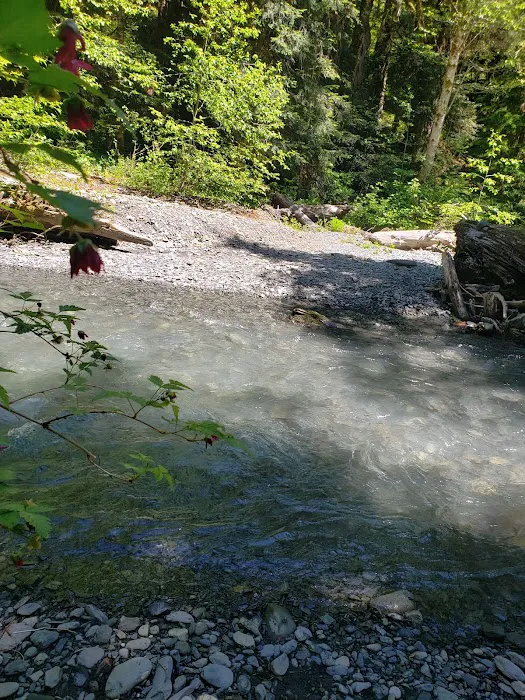 Nine Stream Picture 4