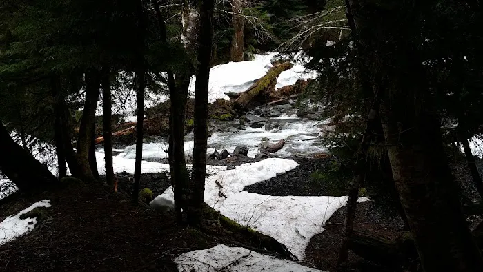 Nine Stream Picture 10