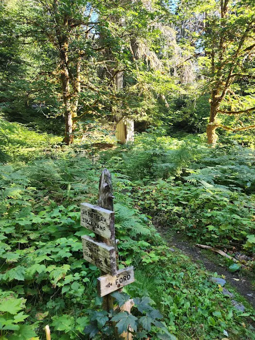 Nine Stream Picture 9