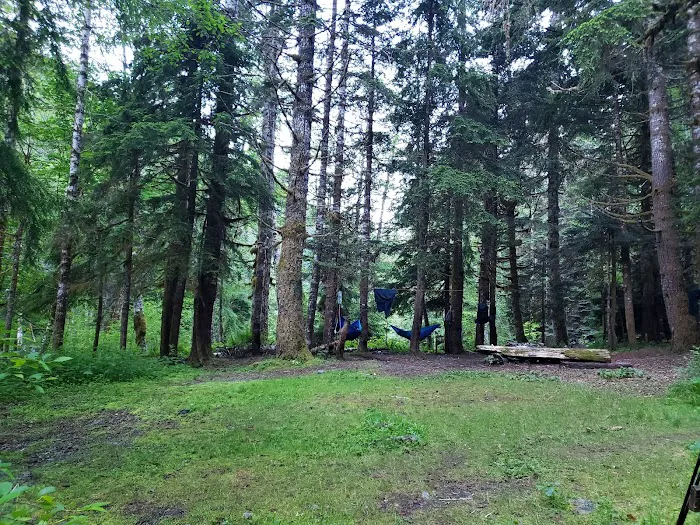 Nine Stream Picture 7