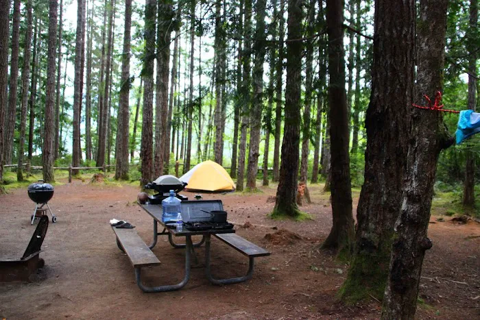 Skokomish Park at Lake Cushman Picture 2