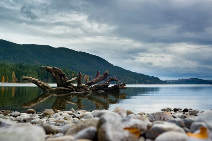 Skokomish Park at Lake Cushman Picture 7