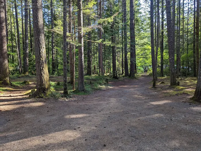 Skokomish Park at Lake Cushman Picture 5