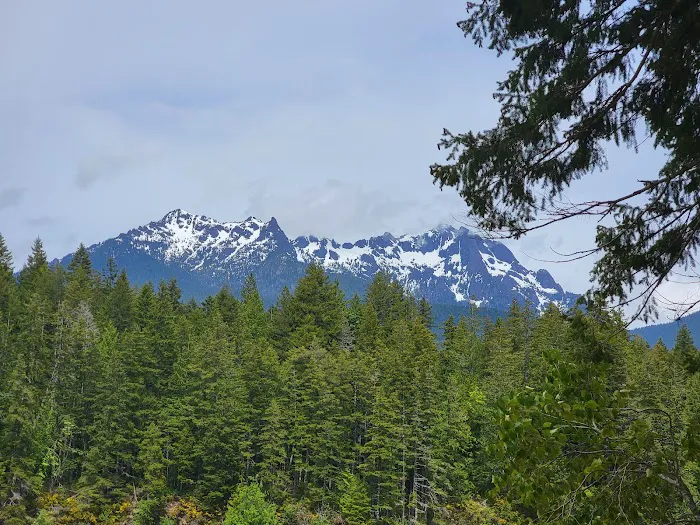 Skokomish Park at Lake Cushman Picture 8