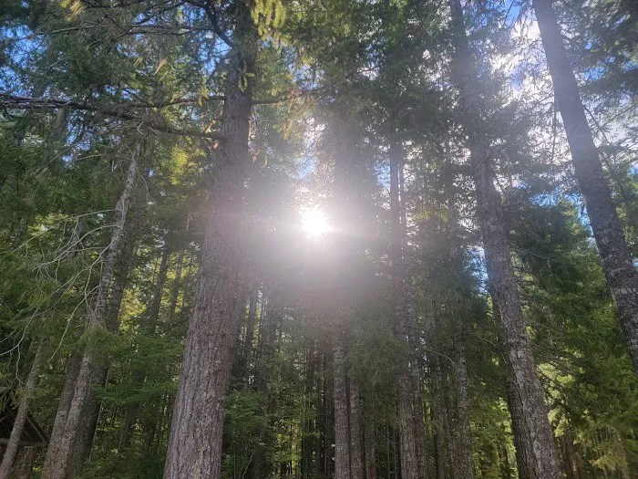 Skokomish Park at Lake Cushman Picture 9