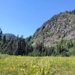 Honeymoon Meadows