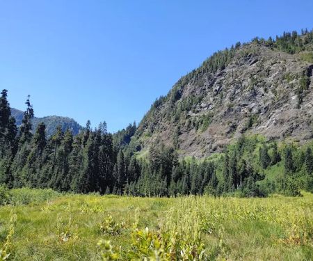 Honeymoon Meadows