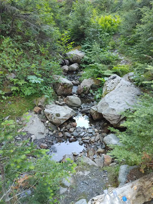 Camp Siberia Picture 3